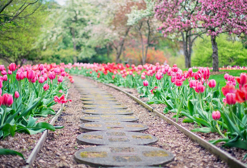 Comment aménager son jardin ?