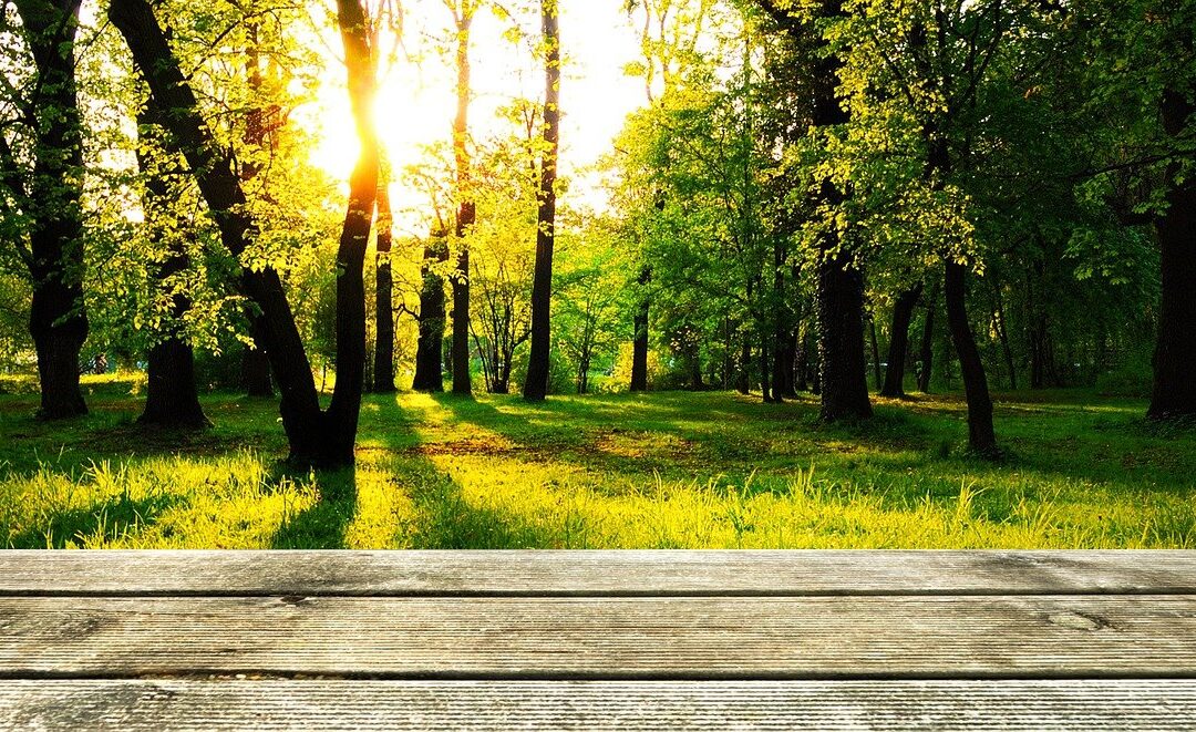 création de terrasse de jardin en bois