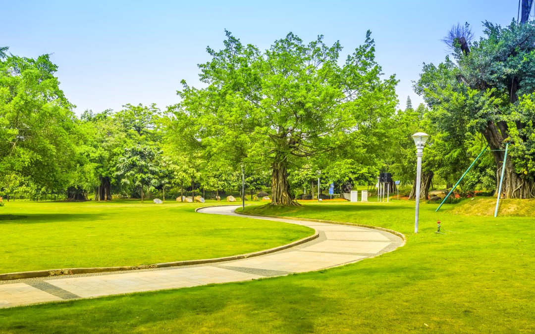 Valoriser votre propriété avec une entreprise d’espaces verts à Mionnay