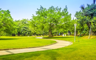 Valoriser votre propriété avec une entreprise d’espaces verts à Mionnay