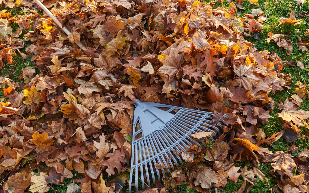 Ramassage de feuilles et l’évacuation de déchets verts à Limas