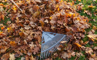 Ramassage de feuilles et l’évacuation de déchets verts à Limas