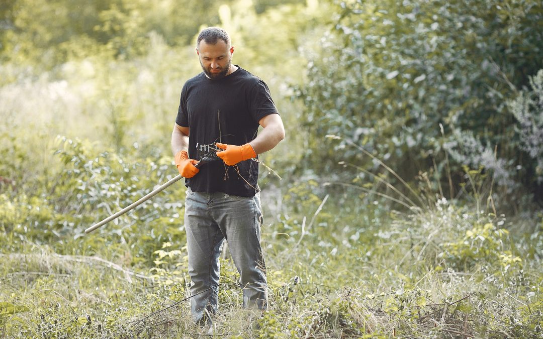 Débroussaillage à Romans pour la rénovation des terrains abandonnés